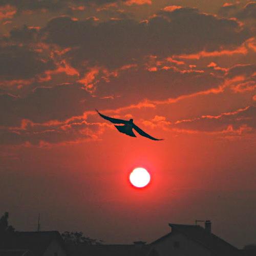 Fly, fly...