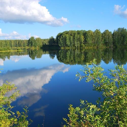 Photo #4867274