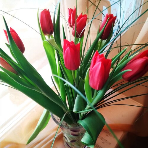 Photo #4867302