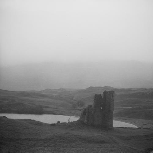 Photo #4867584