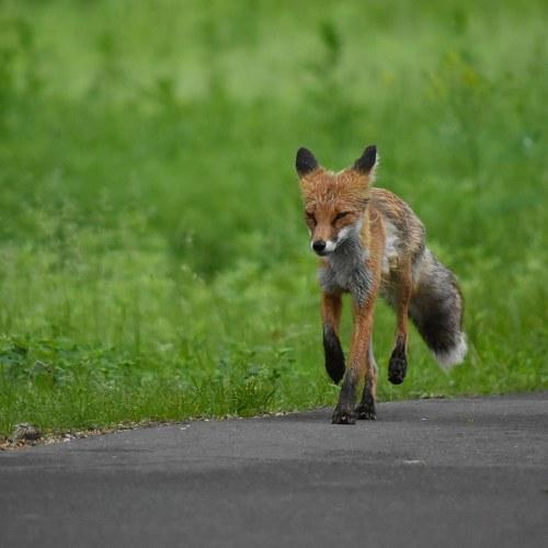 Photo #4867625