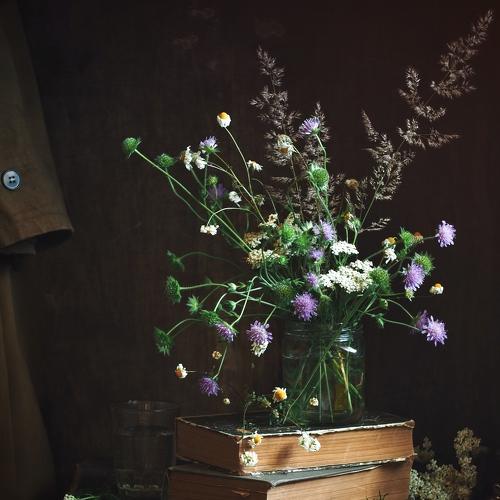 Photo #4867723