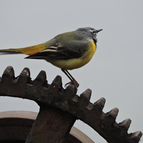 Photo #4867891