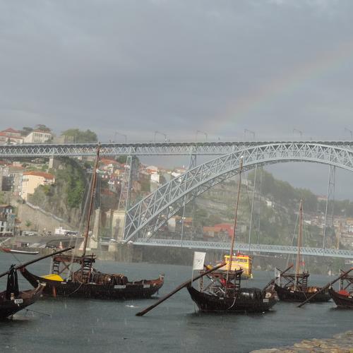 Photo #4867929