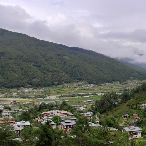 Photo #4868113