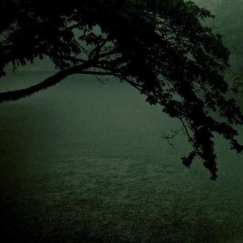 Song of Rain