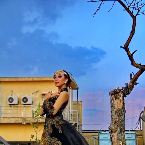 Photo #4869146