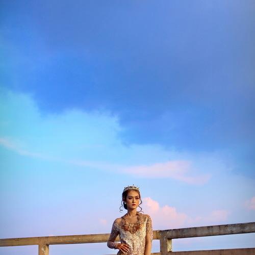 Photo #4869162