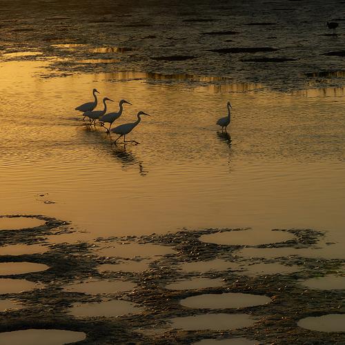 Photo #4869443
