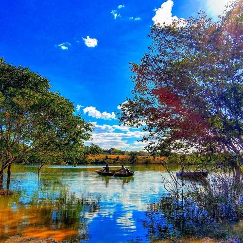 Photo #4869746