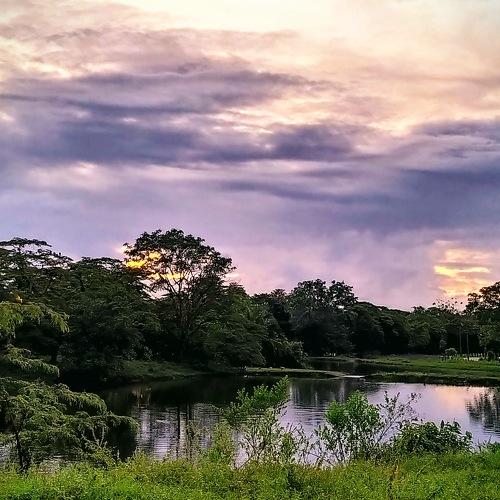 Photo #4869878
