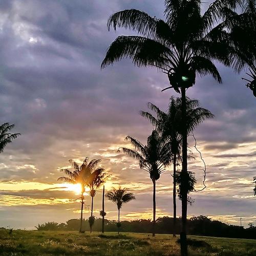 Photo #4869879