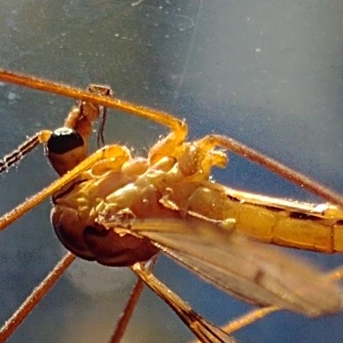Photo #4870203