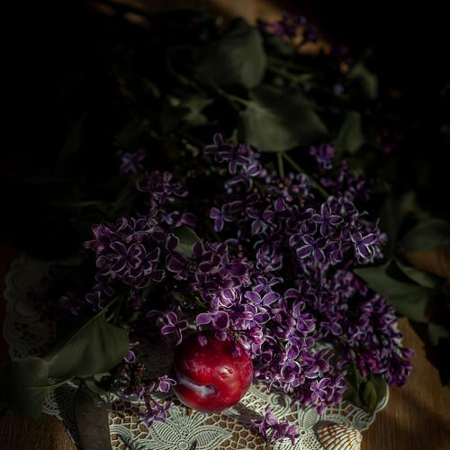 Photo #4870596