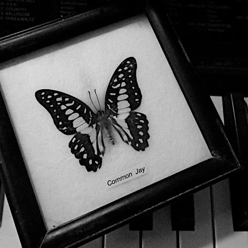 Black/White Life after Life