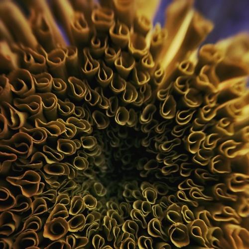 Photo #4870818