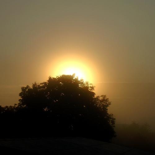 Photo #4870886