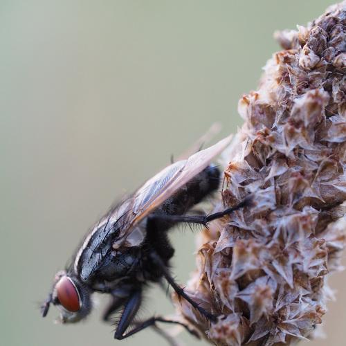 Photo #4870923