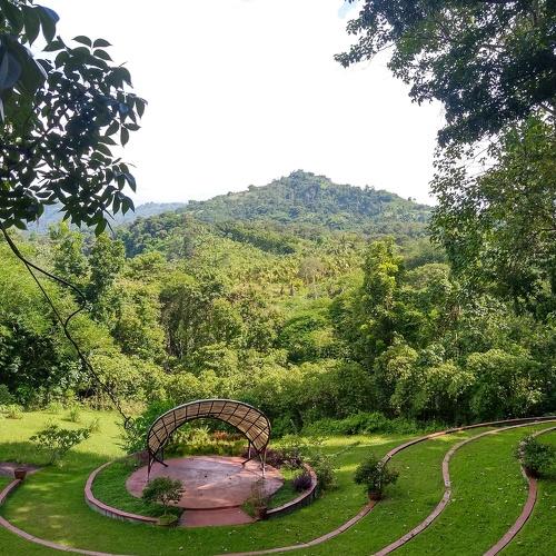 Photo #4870936