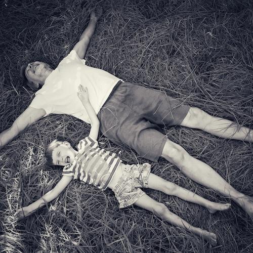 Photo #4871553