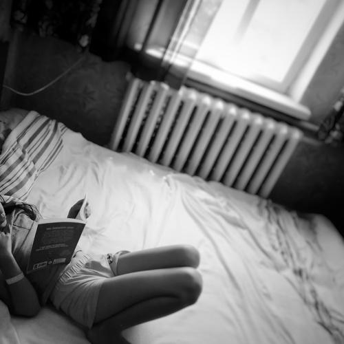 Photo #4871556