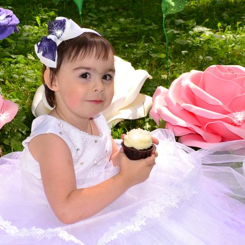 Photo #4871667