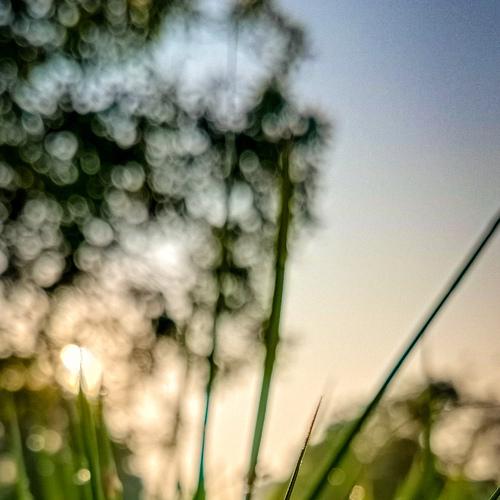 Photo #4871987