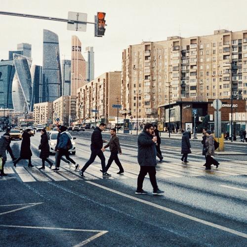 Photo #4872274