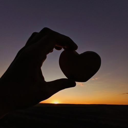 Photo #4872951