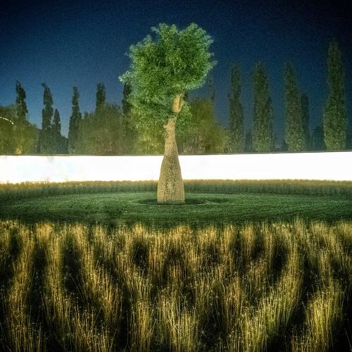 Photo #4873411