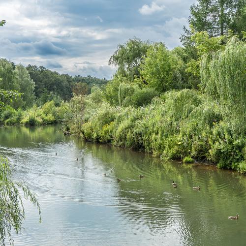 Quiet little river