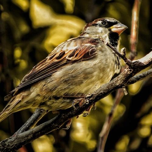Photo #4873773
