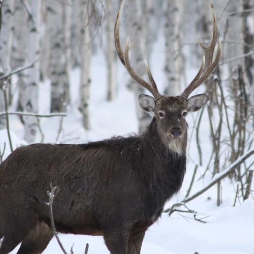Photo #4874066