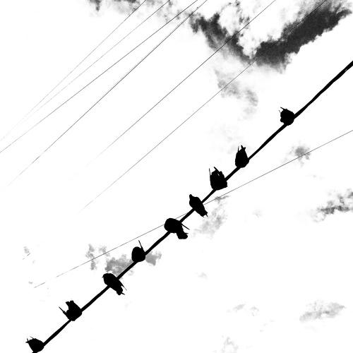 Photo #4874079