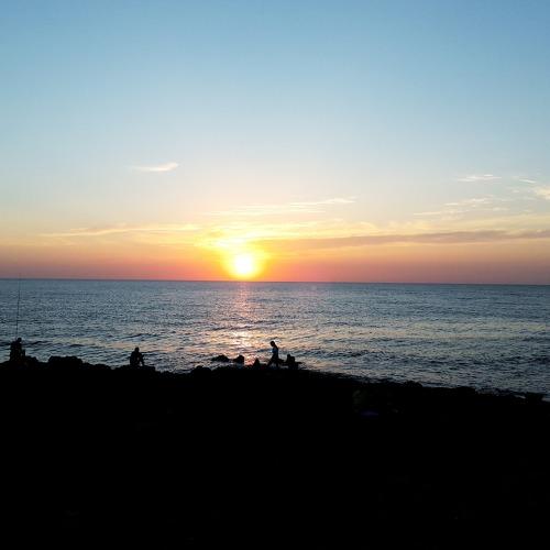 Photo #4874210