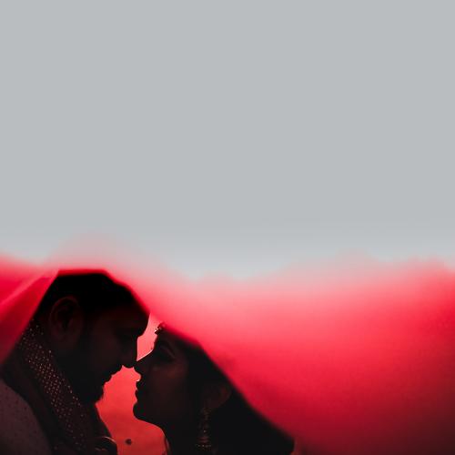 Photo #4874260