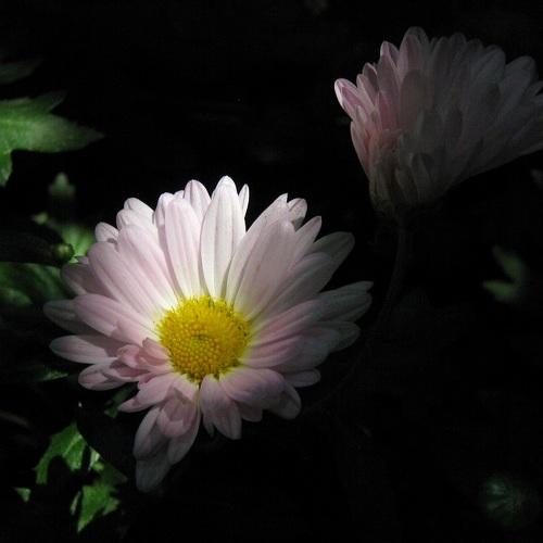 Photo #4874463