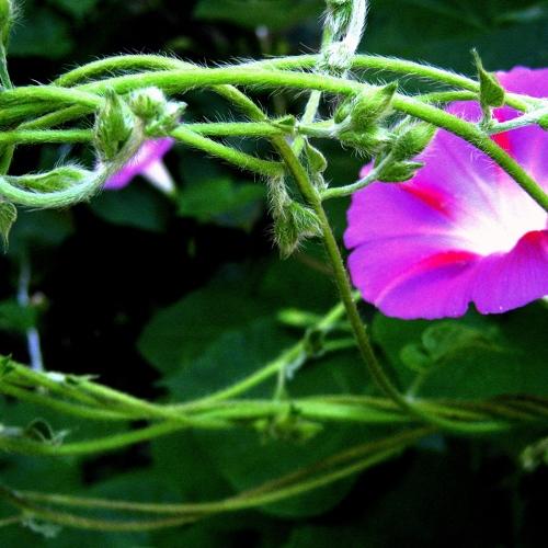 Photo #4874511