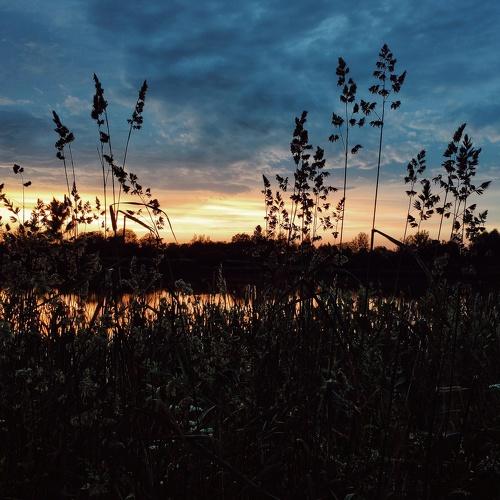 Photo #4874533