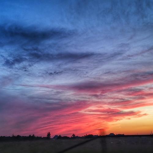 Photo #4875179