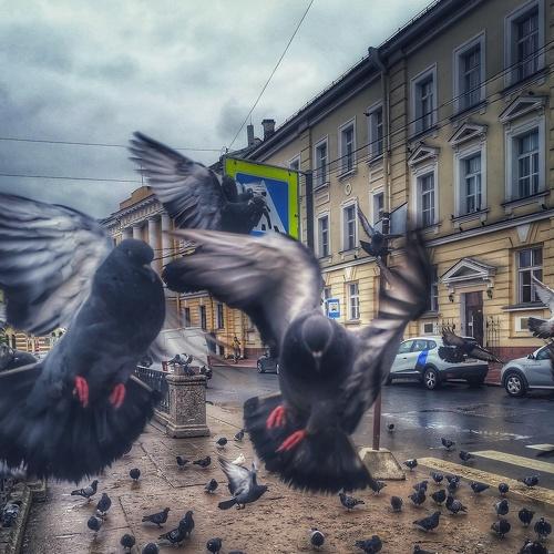 Photo #4875182