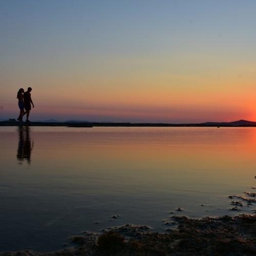 Photo #4875249