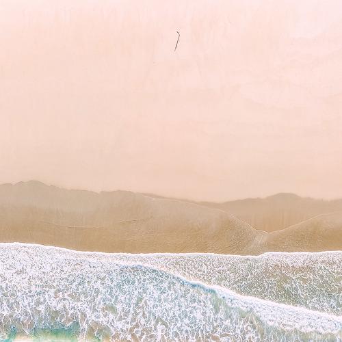 Photo #4875351