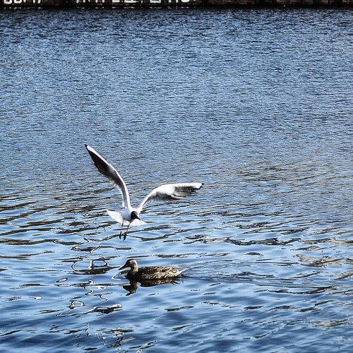 Photo #4875405