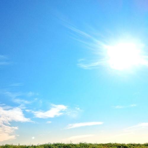 Photo #4875514