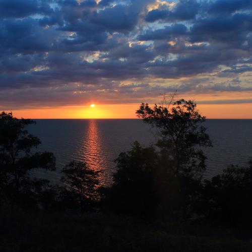 Photo #4875872