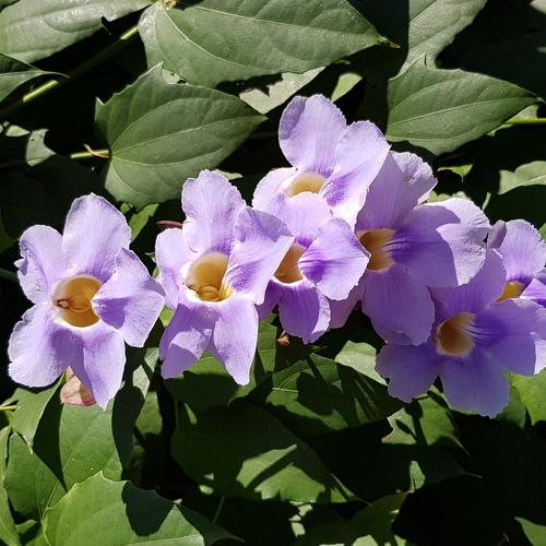 Photo #4875903