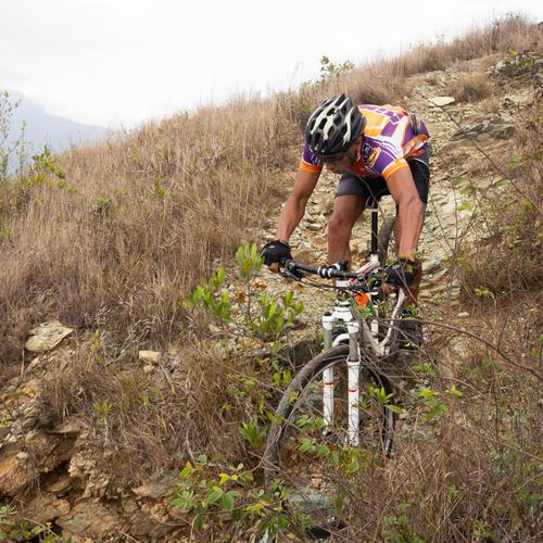 Photo #4876013