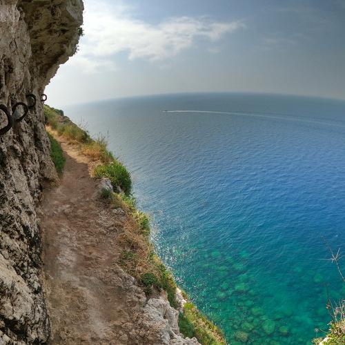 Photo #4876355