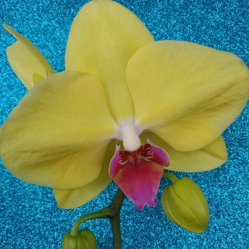 Photo #4876564